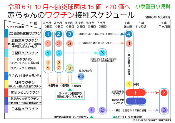 赤ちゃんのワクチン接種スケジュール | 小泉重田小児科